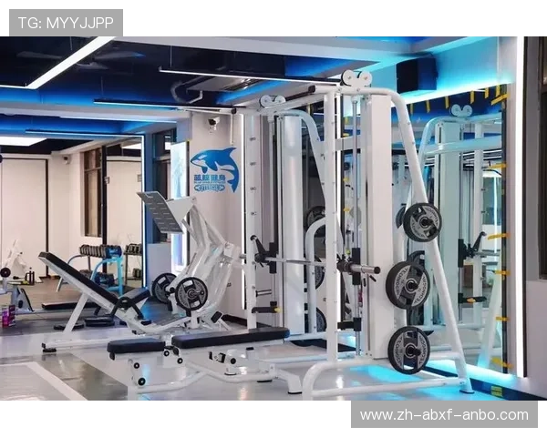 高端商用健身设备品牌如何定义行业性能标杆